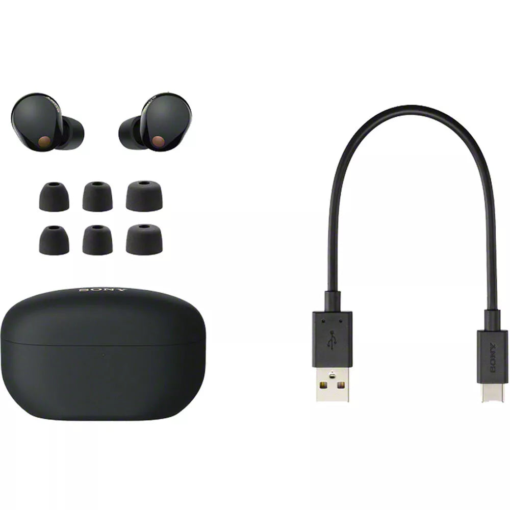 Sony WF-1000XM5 Noise-Canceling True Wireless Earphones (Black) - Earphone